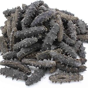 Dried Sea Cucumber For Sale