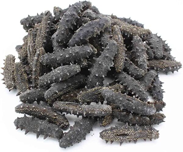 Dried Sea Cucumber For Sale