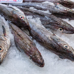 Buy Whole Fresh Hake