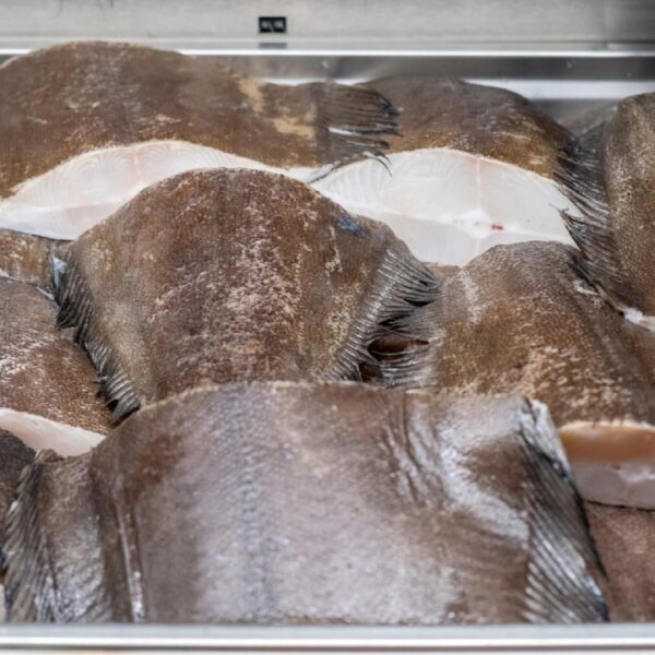 Greenland Halibut For Sale