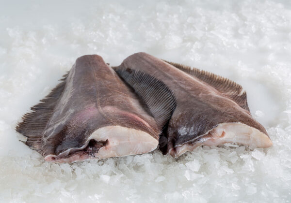 Greenland Halibut For Sale