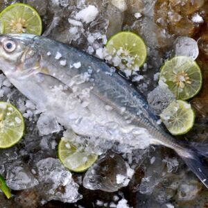 Fresh Trevally For Sale