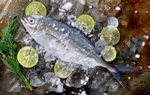 Fresh Trevally For Sale