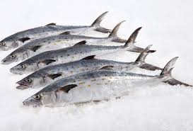 Whole Mackerel For Sale