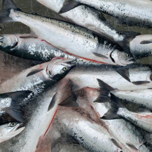 Where To Buy Fresh Sockeye Salmon